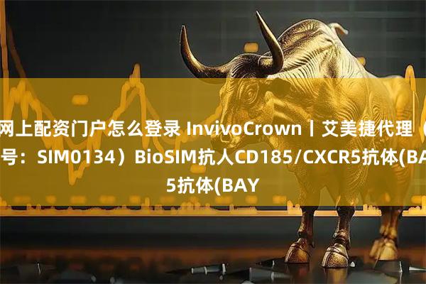 网上配资门户怎么登录 InvivoCrown丨艾美捷代理（货号：SIM0134）BioSIM抗人CD185/CXCR5抗体(BAY