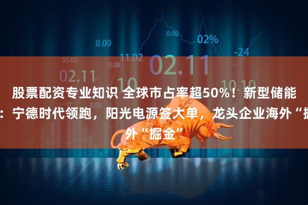 股票配资专业知识 全球市占率超50%！新型储能狂飙：宁德时代领跑，阳光电源签大单，龙头企业海外“掘金”